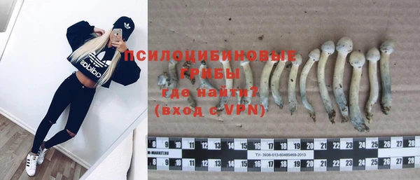 стафф Ельня