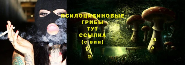 стафф Ельня