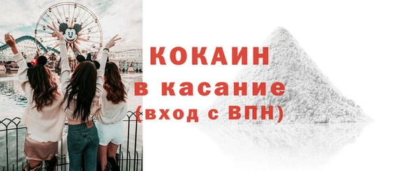стафф Ельня