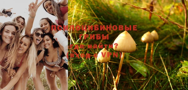 стафф Ельня