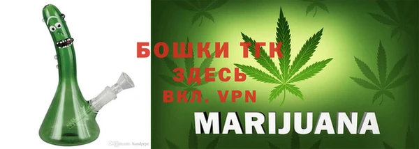 стафф Ельня