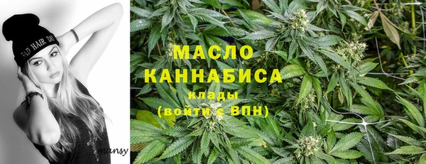 стафф Ельня