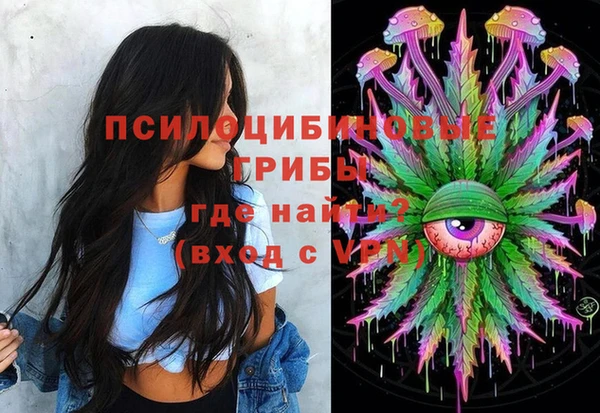 стафф Ельня