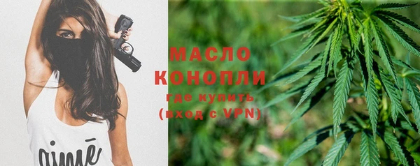стафф Ельня