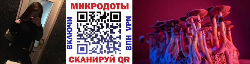 Псилоцибиновые грибы Psilocybe  Купить  Майский 